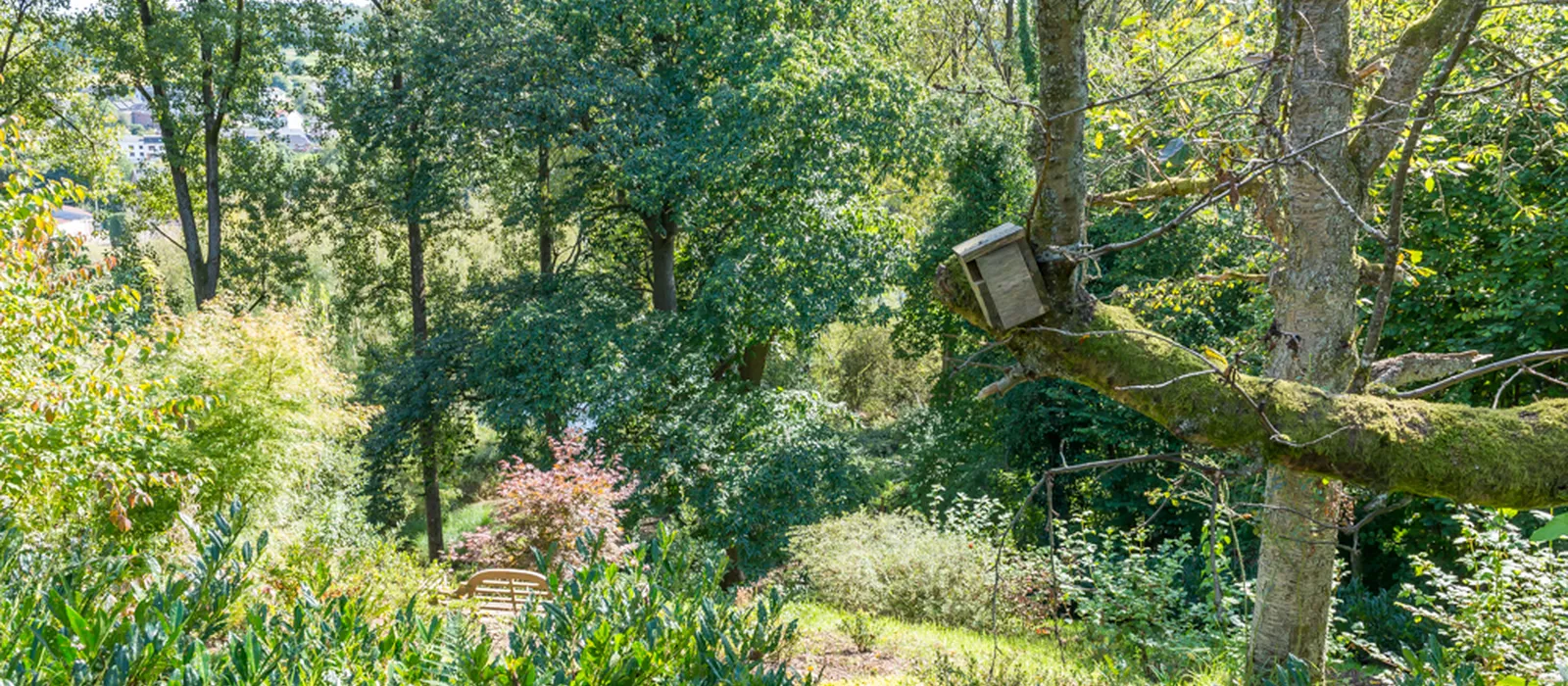 1770285766-21) wilde tuin (8)